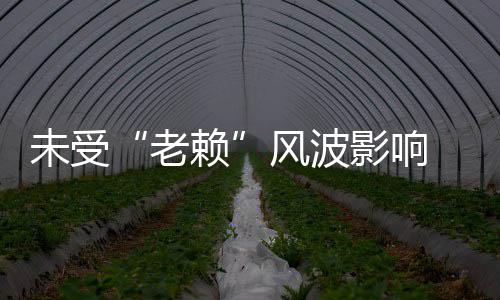 未受明昊 黄老赖两美雪影响女滑车带开豪风波